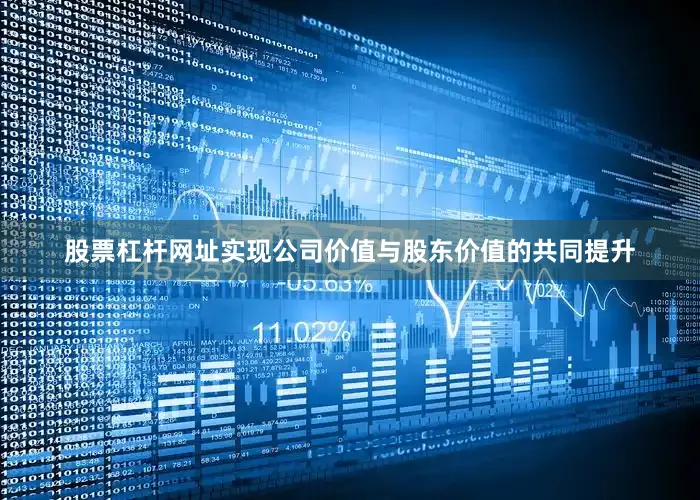 股票杠杆网址实现公司价值与股东价值的共同提升
